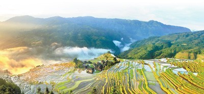 为保护生物多样性贡献中国智慧 第 4 张