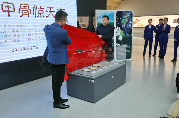 �й����ֲ���ݣ��������Ļ����߳�ȥ������������