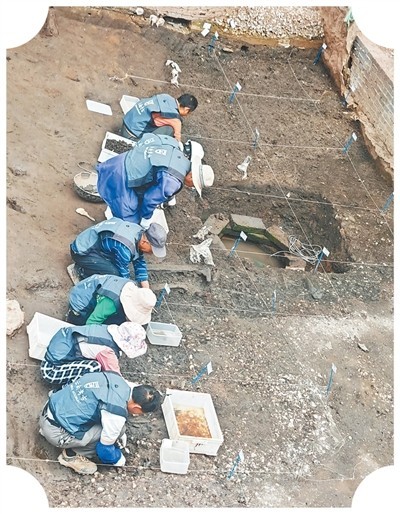 河泊所遗址考古工作队揭示西南边疆从多元到一体的发展历程——_从螺壳堆中探寻古滇国 图3