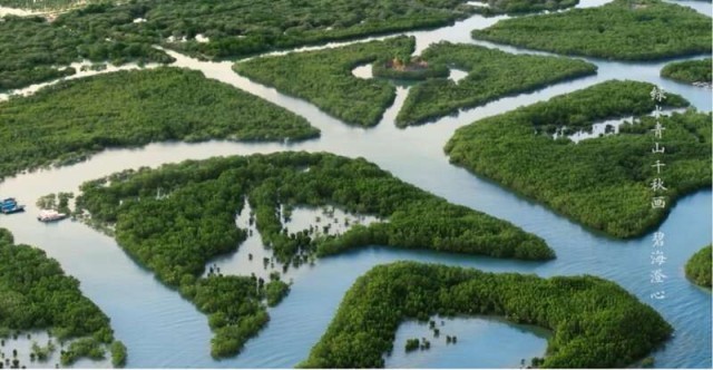 假如山河“发朋友圈”是什么样？纪录片《绿水青山千秋画》将播 图1