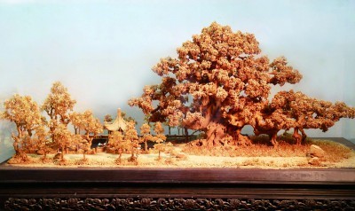 山川多妩媚_尽揽一框中 图4