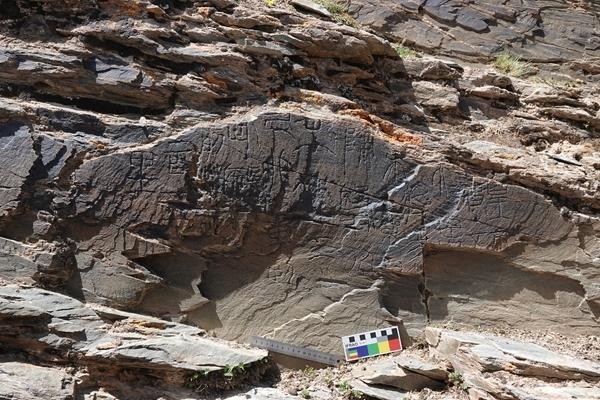 “昆仑”，找到了？ 图1