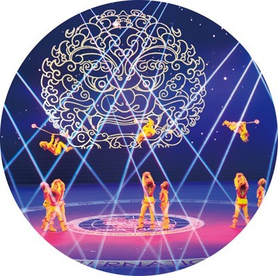 在传承创新中擦亮“吴桥杂技”品牌 图4