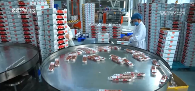 “红色底蕴+振兴新颜”“非遗+潮玩”……假日文旅亮点多_解锁游客度假热门“新宠” 图13