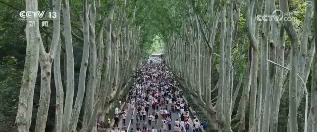 “红色底蕴+振兴新颜”“非遗+潮玩”……假日文旅亮点多_解锁游客度假热门“新宠” 图19