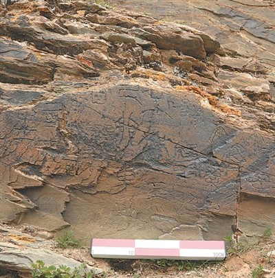 文化强国建设绽放新光彩 图8