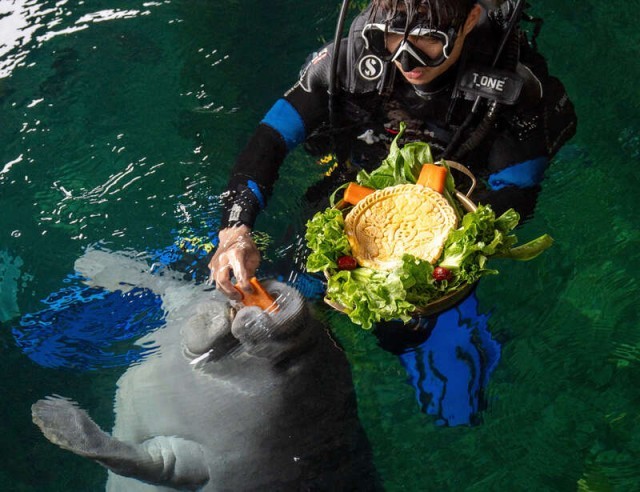 动物们花式过中秋，非洲野趣之旅在广东清远开启 图2