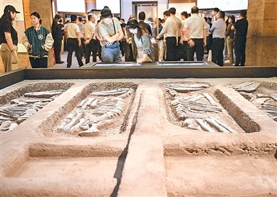 考古成果如何走出“象牙塔” 图2