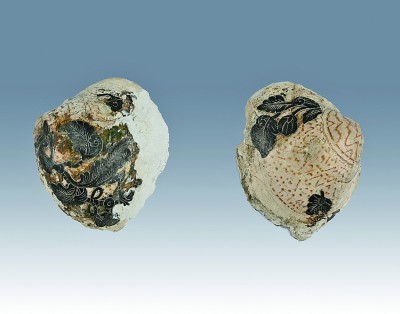 陕西发现唐朝宰相张九龄夫人墓 图1