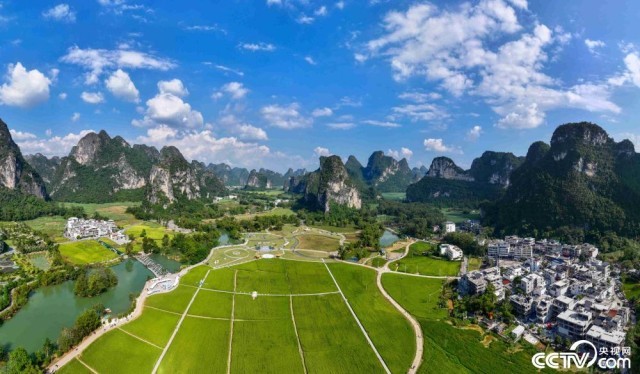 广西崇左：2025年第七届大新明仕田园丰收节 图1