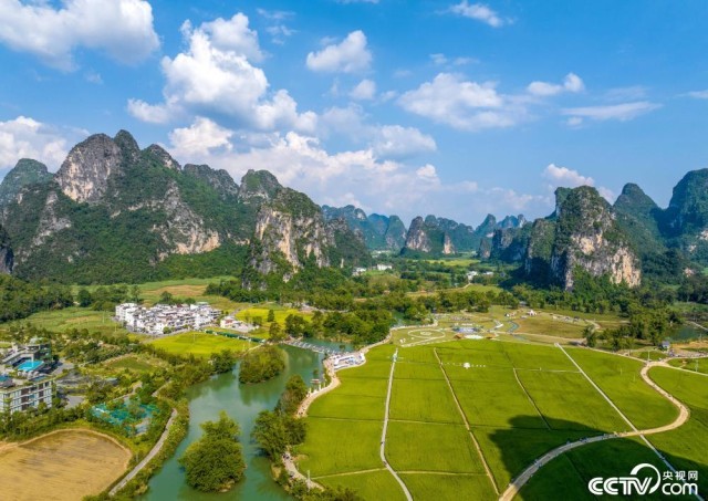 广西崇左：2025年第七届大新明仕田园丰收节 图3