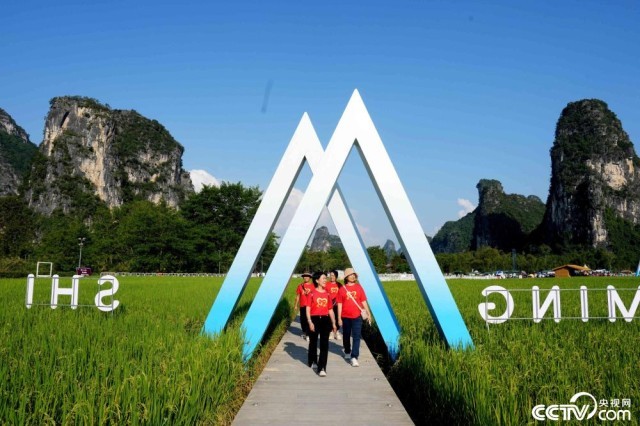 广西崇左：2025年第七届大新明仕田园丰收节 图4