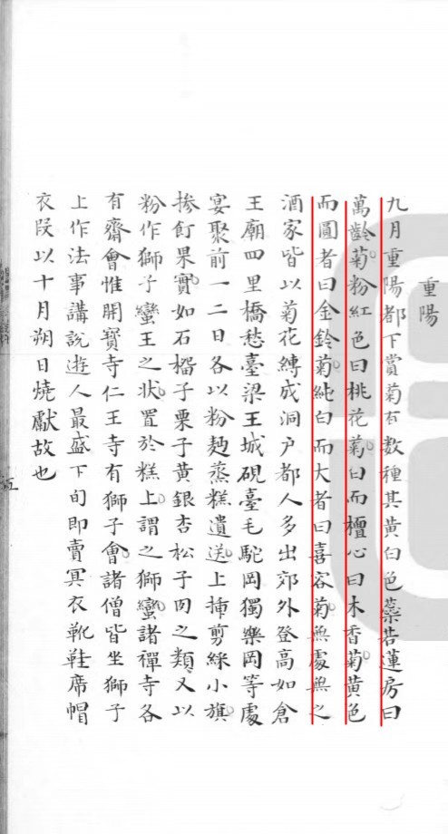 赏菊、饮菊花酒、吃菊花糕、点菊花灯……古人这样过重阳 图2