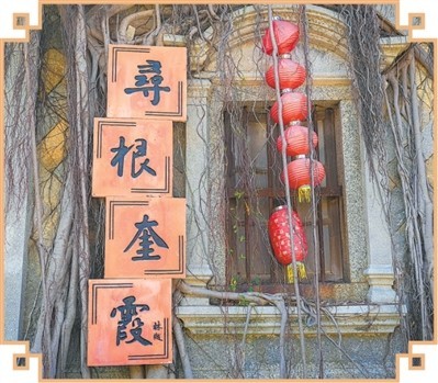 福建南安石井镇奎霞村——古厝连云寄乡情（文化中国行·走进传统村落） 图2