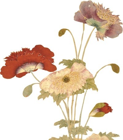 说说历史上那几朵“冥界之花” 图2