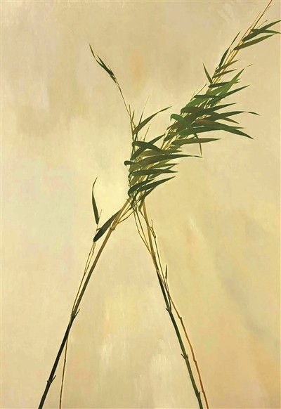 竹与园反复显影_如何更可亲更耐看 图2