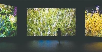 汇聚近120个国家和地区近600件美术作品——走进北京双年展，看见缤纷世界（深观 图3