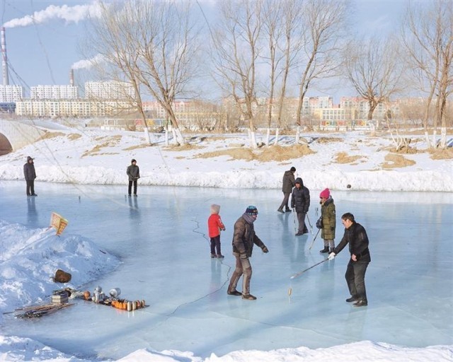 冰雪之上_生机勃勃 图1