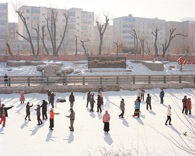 冰雪之上_生机勃勃 图2