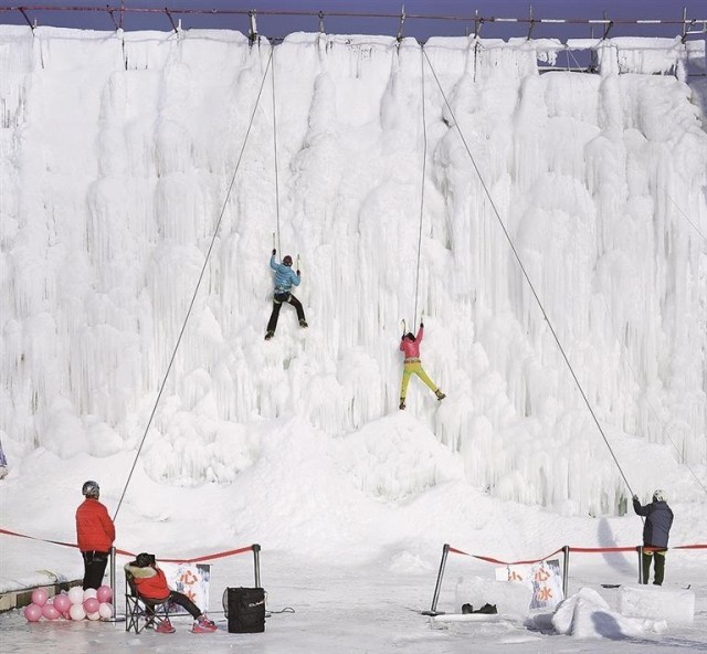 冰雪之上_生机勃勃 图3