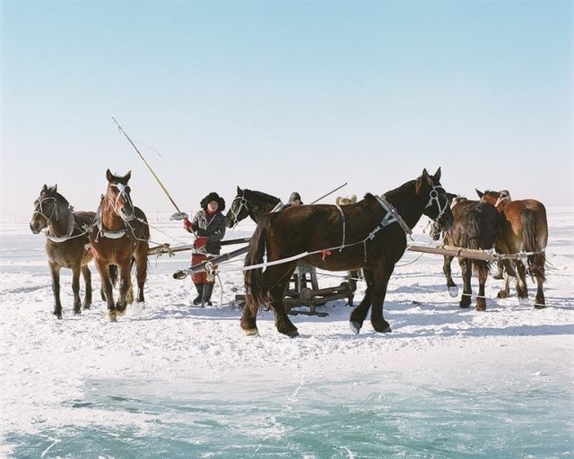 冰雪之上_生机勃勃 图4