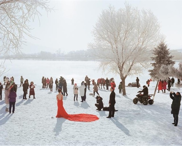 冰雪之上_生机勃勃 图5