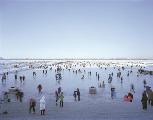 冰雪之上_生机勃勃 图6