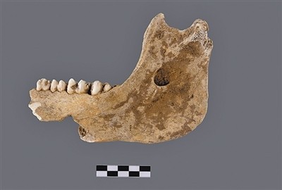 动物资源标本库中的文明史 图2