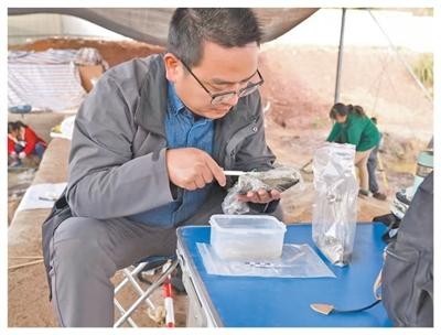 四川省濛溪河遗址考古队努力重现旧石器时代古人类生活图景——揭秘“百科全书”式遗址 图2