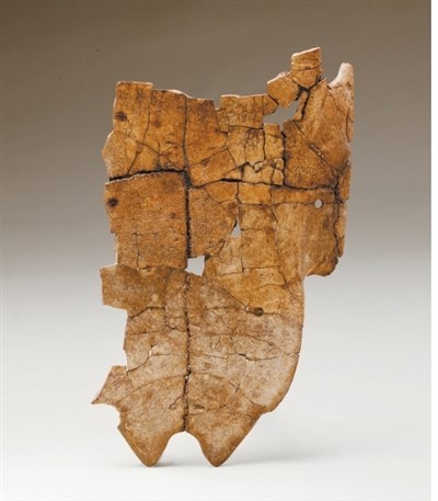 大辛庄遗址有博物馆了 图1