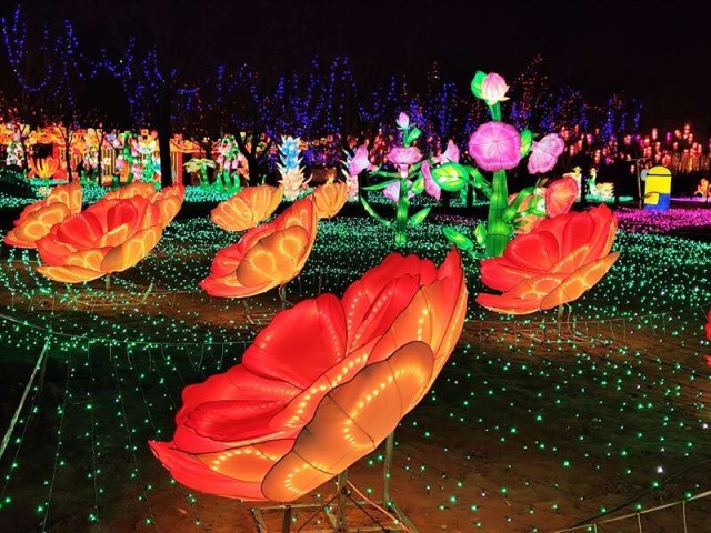 北京传统文化与创新潮流融合打造春节文化盛宴 图3