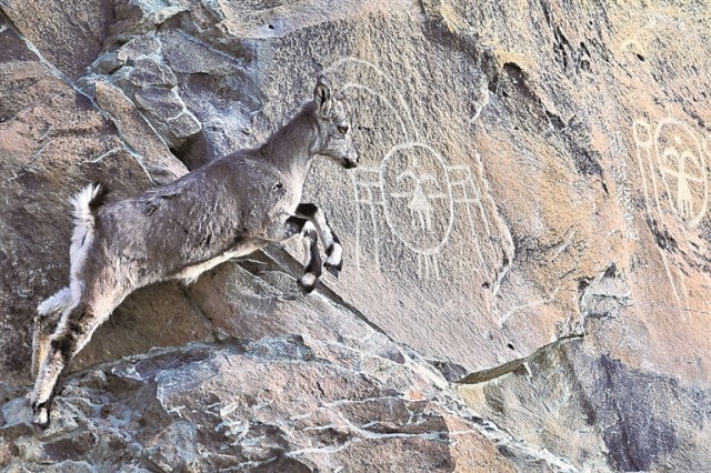 万年“画廊”遇见数字流光 图1