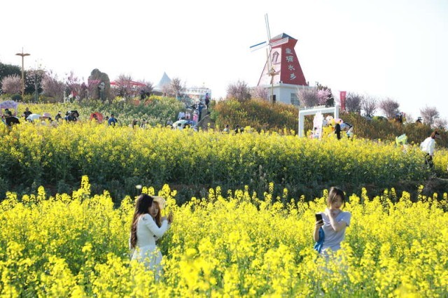 2026陕西“三秦四季·汉中有约”最美油菜花海推介发布会在西安举行 图1