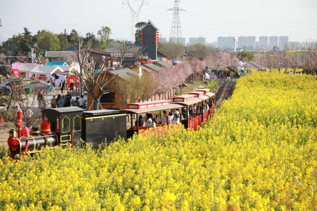 2026陕西“三秦四季·汉中有约”最美油菜花海推介发布会在西安举行 图2