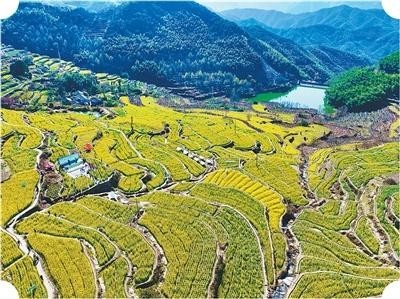 浙江嵊州下王镇，文艺成为村民生活的重要部分_在乡间，唱越剧看山水（文艺赋美乡村） 图3