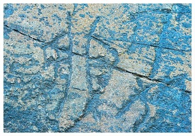 南京大学文学院教授程章灿研究石刻文献三十余载_寻史访碑，与石刻“对话”（感知文化 图1