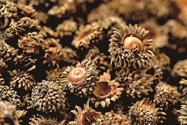 从玄皂到元青——黑的色彩文化史 图2