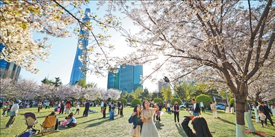 春和景明_踏青旅行（我们的节日·清明） 图1