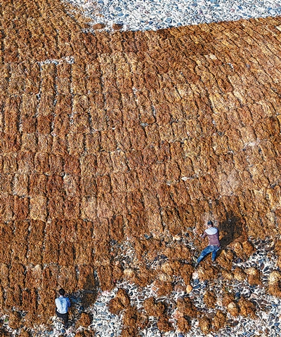 一张宣纸的诞生：108道工序 图2