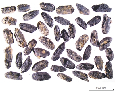 上山文化，中华万年文化史的重要源头 图3