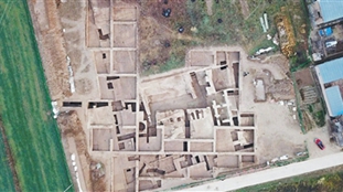 W020260724385658507231.jpg