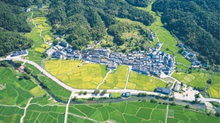 W020260727392205149451.jpg