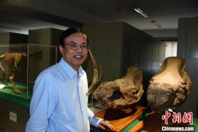 中科院古脊椎所标本馆，邓涛研究员介绍馆藏化石标本。　<a target=<em></em>'_blank<em></em>' href=<em></em>'/<em></em>'><p  align=