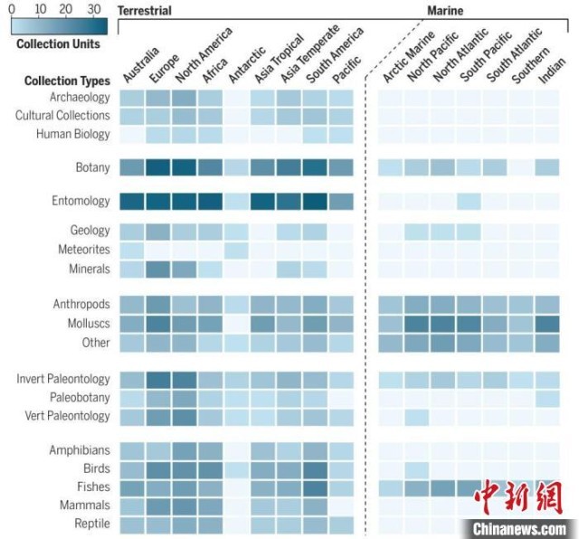 全球自然藏品单元热图。 中科院古脊椎所 供图