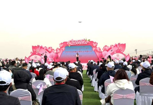 千年桃乡焕发新生机 2025年甘肃秦安桃花会开幕 